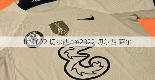 fm2022 切尔西,fm2022 切尔西 萨尔