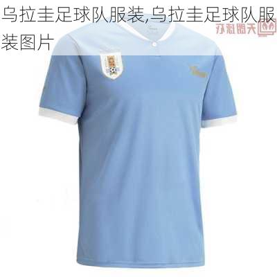 乌拉圭足球队服装,乌拉圭足球队服装图片