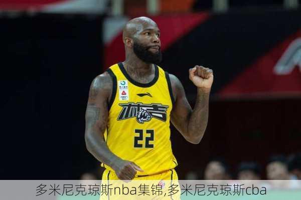 多米尼克琼斯nba集锦,多米尼克琼斯cba