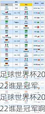 足球世界杯2022谁是冠军,足球世界杯2022谁是冠军啊