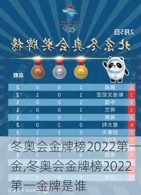 冬奥会金牌榜2022第一金,冬奥会金牌榜2022第一金牌是谁