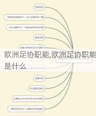 欧洲足协职能,欧洲足协职能是什么