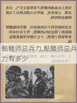 骷髅师总兵力,骷髅师总兵力有多少