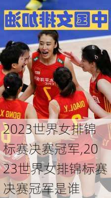 2023世界女排锦标赛决赛冠军,2023世界女排锦标赛决赛冠军是谁