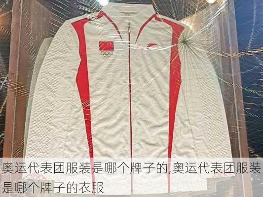 奥运代表团服装是哪个牌子的,奥运代表团服装是哪个牌子的衣服