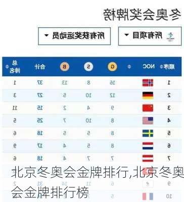 北京冬奥会金牌排行,北京冬奥会金牌排行榜