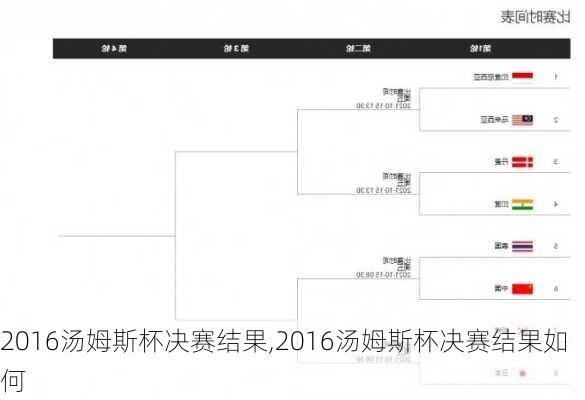 2016汤姆斯杯决赛结果,2016汤姆斯杯决赛结果如何