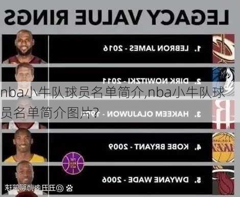 nba小牛队球员名单简介,nba小牛队球员名单简介图片?