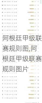 阿根廷甲级联赛规则图,阿根廷甲级联赛规则图片