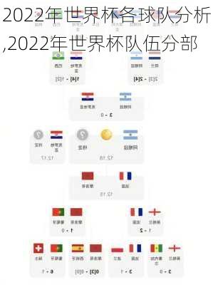 2022年世界杯各球队分析,2022年世界杯队伍分部