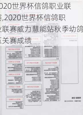 2020世界杯信鸽职业联赛,2020世界杯信鸽职业联赛威力慧能站秋季幼鸽五关赛成绩