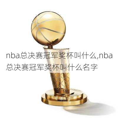 nba总决赛冠军奖杯叫什么,nba总决赛冠军奖杯叫什么名字