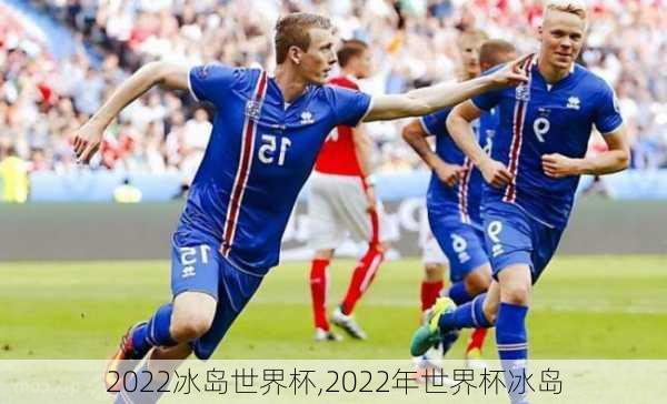 2022冰岛世界杯,2022年世界杯冰岛