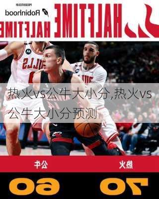 热火vs公牛大小分,热火vs公牛大小分预测