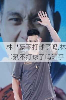 林书豪不打球了吗,林书豪不打球了吗知乎