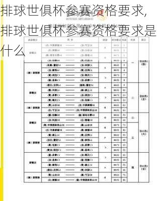 排球世俱杯参赛资格要求,排球世俱杯参赛资格要求是什么