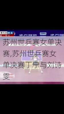 苏州世乒赛女单决赛,苏州世乒赛女单决赛丁宁与刘诗雯