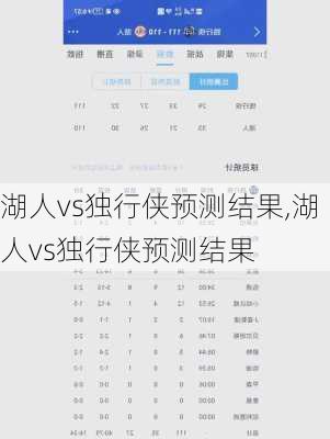 湖人vs独行侠预测结果,湖人vs独行侠预测结果