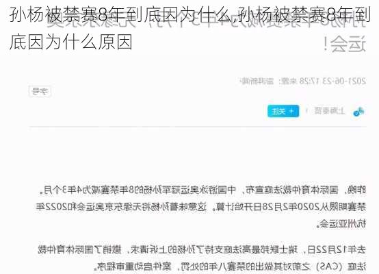 孙杨被禁赛8年到底因为什么,孙杨被禁赛8年到底因为什么原因