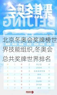 北京冬奥会奖牌榜世界技能组织,冬奥会总共奖牌世界排名