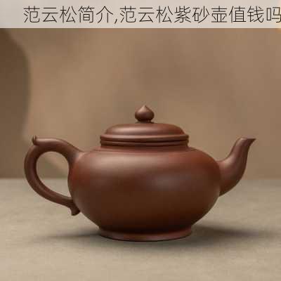 范云松简介,范云松紫砂壶值钱吗